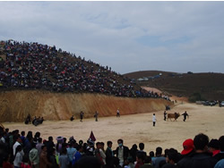 blog1101_523_3tougyuu.jpg