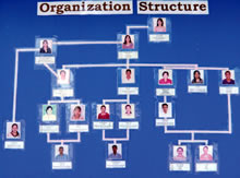 スタッフの組織図