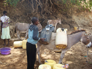 ロバに水を背負わせるキツイ県ムトモ郡の子ども
