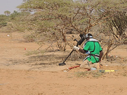 地雷探知の様子