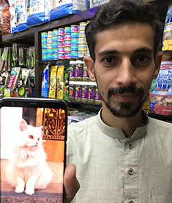 ウマルサンの携帯電話には飼い猫の画像が写っている