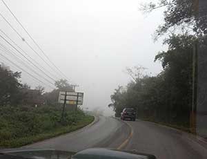 霧がかった道路を車で進んでいる様子　霧のためすぐ前方も見えにくい