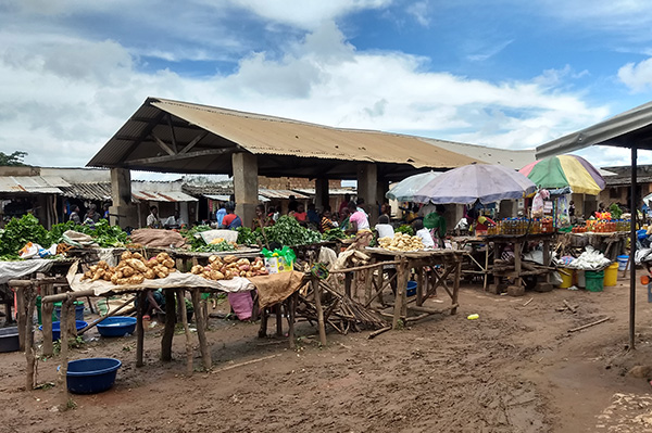 小さなパラソルや大きな日よけの屋根がいくつも並び、野菜や果物がたくさん売られています