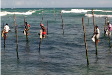 リティパンナの様子 リティパンナの様子