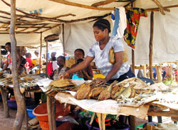 アンゴラの市場に並ぶ魚たち