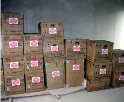 仮設教室に積み上げられた支援物資 仮設教室に積み上げられた支援物資