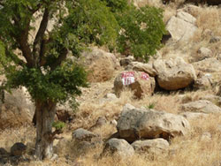 紅白に塗られた石が地雷の有無を示します 紅白に塗られた石が地雷の有無を示します
