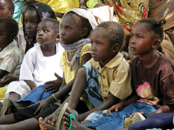 この真剣な眼差し…! この真剣な眼差し…!