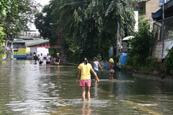 道路を渡るのも一苦労 道路を渡るのも一苦労