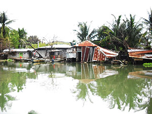 水に浸かる家々 水に浸かる家々