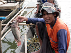 台風の影響は湖の生態系にも影響しているようだ 台風の影響は湖の生態系にも影響しているようだ