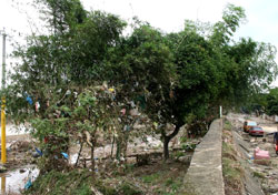 洪水は川からあふれ出て村を襲った 洪水は川からあふれ出て村を襲った