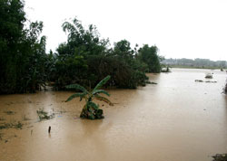 台風16号に続き、17号による被害も危ぶまれる 台風16号に続き、17号による被害も危ぶまれる