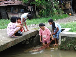 かろうじて家は無事でも、水も電気も使えません かろうじて家は無事でも、水も電気も使えません