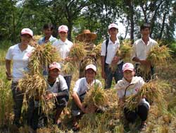 たくさん収穫できました! たくさん収穫できました!