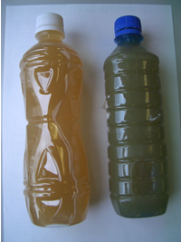 生活用水として使っている水 緑色、茶色に濁った水