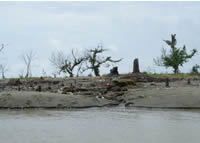 荒涼とした風景が広がります 荒涼とした風景が広がります