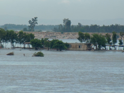 インダス河の増水により水没した建物