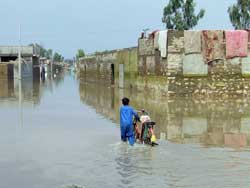 一面水浸し。すさまじい悪臭も 水につかった道を、自転車を押して進む少年