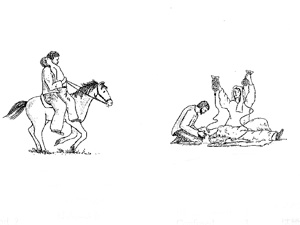 適切な訓練を受ければ、どんな人にも応急処置は可能です 被害者を馬で搬送、適切な応急処置などを行う村人と保健所職員