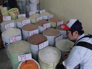 市場で米を確認する東京事務局の五十嵐豪