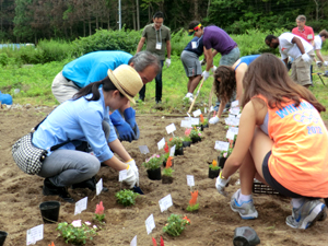 花を菜園の周りに植えるプリンストン大学の学生と「ふれあい農園」の皆さま