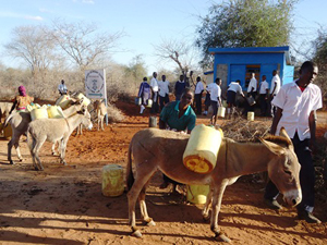 ポリタンクを担いだロバ