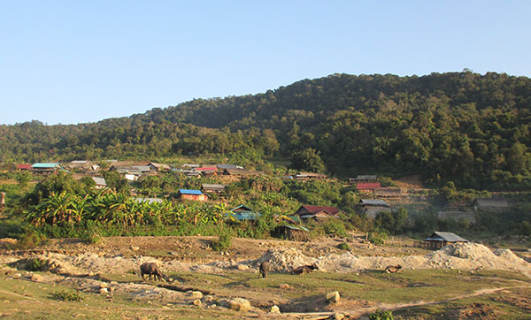 放牧された牛や、木々の中にいくつもの家屋が見えるのどかな田園風景