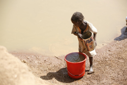 濁った水を汲む子ども